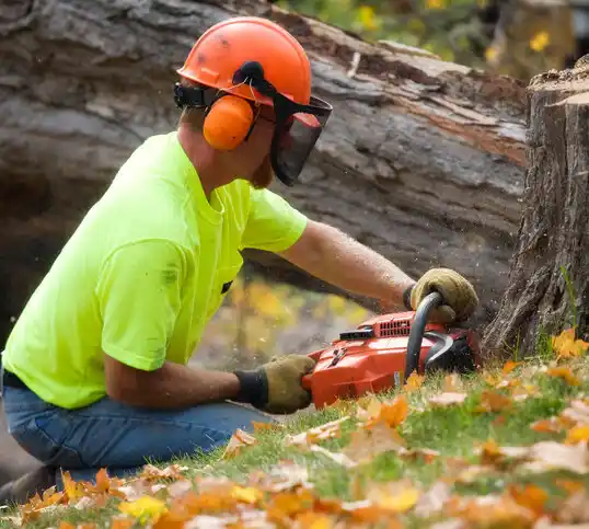 tree services Clarks Grove